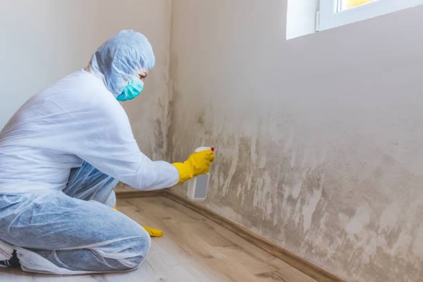 Mold Remediation specialist working in Natick